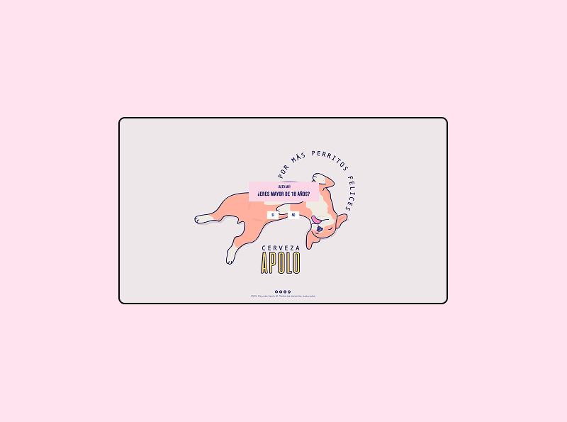 Cerveza Apolo brand and online store